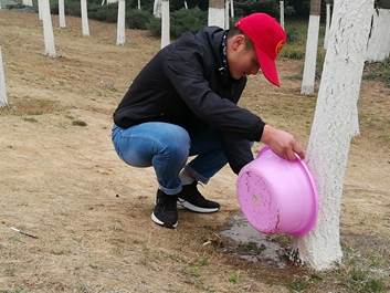 说明: IMG_256